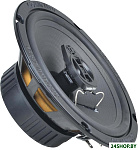 GZFF 6.5