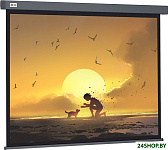 Wallscreen 124x221 CS-PSW-124X221-SG