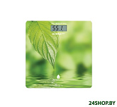 Картинка Напольные весы SCARLETT SC-BS33E102 Green Line