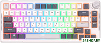 RK-H81 RGB White Night (RK Brown)