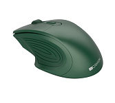 Картинка Мышь CANYON CNE-CMSW15SM (зеленый)