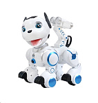 Картинка Интерактивная игрушка Le Neng Toys K10
