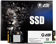 AI198 256GB AGI256G66AI198
