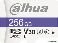 DHI-TF-C100/256GB