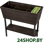 Urban Bloomer 233062
