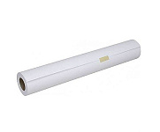 Картинка Фотобумага EPSON Enhanced Matte Paper 432 мм x 30.5 м (C13S041725)