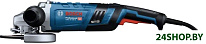 GWS 30-180 B Professional 06018G0000
