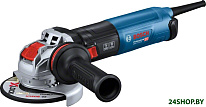 GWX 17-125 S Professional 06017D2300