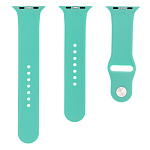 Картинка Ремешок Evolution AW44-S01 для Apple Watch 42/44 мм (new mint)