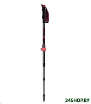 Картинка Треккинговые палки Masters Dolomiti Speedster Calu 01S0616