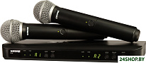 BLX288E/SM58 M17