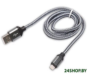 Картинка Кабель Ritmix RCC-421