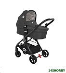 Картинка Детская универсальная коляска Lorelli Patrizia Darck Grey (10021652118)