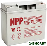 NP 12-18.0 (12В/18.0 А·ч)