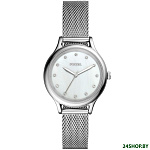 Картинка Наручные часы Fossil Laney BQ3390
