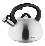 Картинка Чайник со свистком Nadoba Virga 731002
