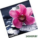 Картинка Весы напольные CENTEK CT-2421