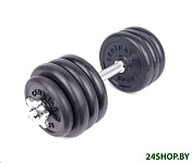 Картинка Гантель разборная Central Sport N2 19.5 кг