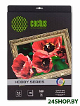 Картинка Холст Cactus CS-СA326010