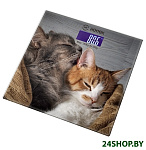 Картинка Напольные весы Hottek HT-962-015