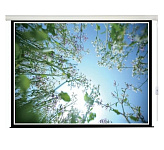 Картинка Проекционный экран Lumien Master Picture CSR 197х231 LMP-100107CSR