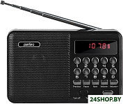 Картинка Радиоприемник Perfeo PF-A4870