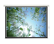 Картинка Проекционный экран Lumien Master Picture CSR 197х244 LMP-100108CSR