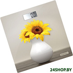 CT-2428 Sunflower