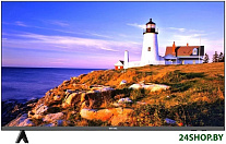 Картинка Телевизор Витязь 55LU1216