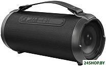 Картинка Беспроводная колонка Ginzzu GM-983G
