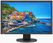 Картинка Монитор NEC MultiSync PA243W (черный)