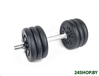 Картинка Гантель разборная Central Sport N2 17 кг