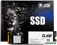 AI198 1TB AGI1T0G16AI198