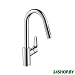 Картинка Смеситель Hansgrohe Focus 31815000