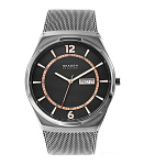 Картинка Наручные часы Skagen SKW6575