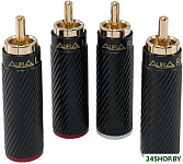 RCA-P616