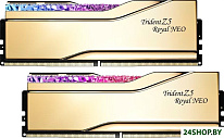 Trident Z5 Royal Neo 2x32ГБ DDR5 6000 МГц F5-6000J2636H32GX2-TR5NG