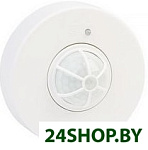 sbl-ms-024