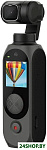 Palm 2 Pro