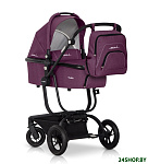 Картинка Коляска универсальная 2 в 1 EasyGO SOUL purple