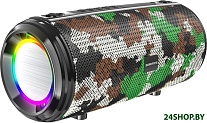 Картинка Портативная колонка Borofone BR13 Young (камуфляж)