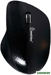 Мышь SmartBuy 309AG Black (SBM-309AG-K)