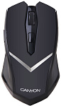 Мышь беспроводная Canyon CNE-CMSW3