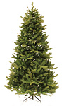 Картинка Ель Royal Christmas Arkansas Premium (120 см)