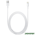 Картинка Кабель Apple Lightning to USB 2m [MD819AM/A]