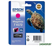 Картинка Картридж EPSON C13T15734010