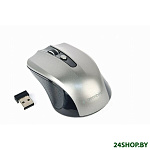 Картинка Мышь Gembird MUSW-4B-04-BG
