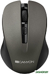 Мышь Canyon CNE-CMSW1G