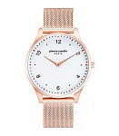 Картинка Наручные часы Pierre Cardin PC902711F203