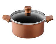 Картинка Кастрюля Tefal Performa 04190320